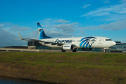 EgyptAir Boeing 737-866 (SU-GDC) at  Amsterdam - Schiphol, Netherlands