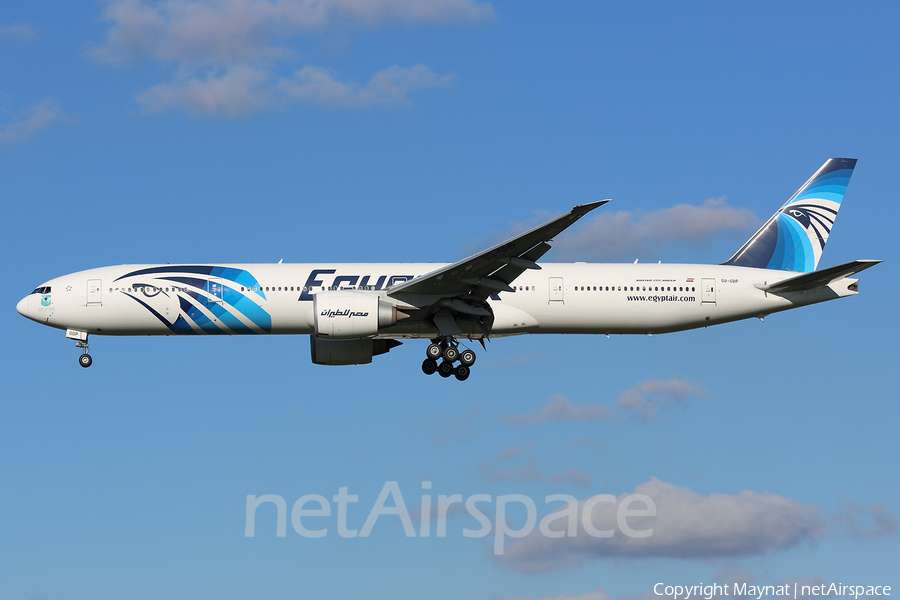EgyptAir (SU-GDP) | Photo 230990