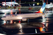 Red Sea Airlines Boeing 737-82R (SU-RSA) at  Hamburg - Fuhlsbuettel (Helmut Schmidt), Germany