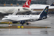 Olympic Airlines Airbus A319-112 (SX-OAJ) at  Istanbul - Ataturk, Turkey