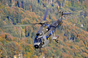 Swiss Air Force Aerospatiale AS332M1 Super Puma (Hkp10A) (T-312) at  Meiringen - Unterbach, Switzerland