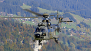 Swiss Air Force Aerospatiale AS332M1 Super Puma (Hkp10A) (T-313) at  Meiringen - Unterbach, Switzerland