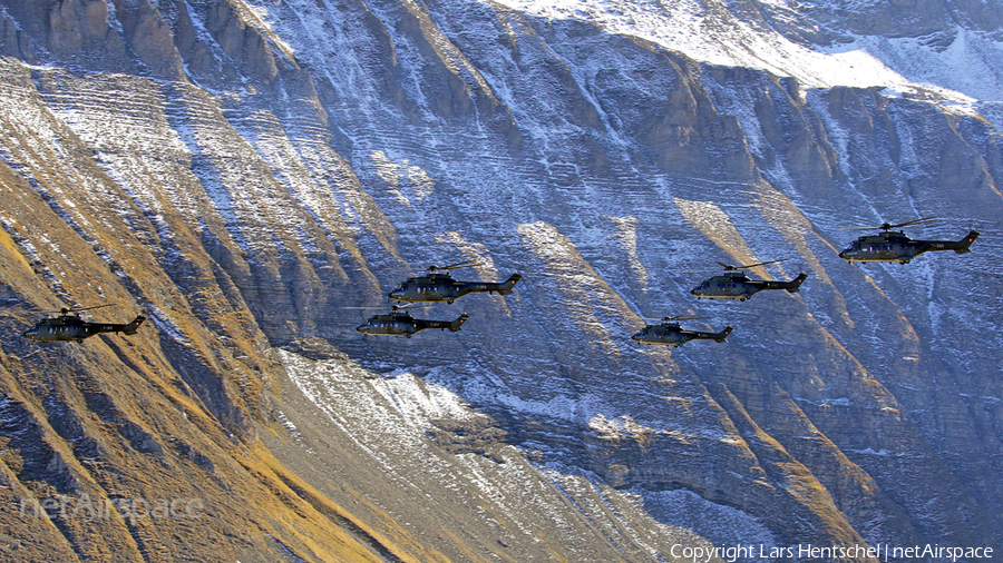 Swiss Air Force Aerospatiale AS332M1 Super Puma (Hkp10A) (T-313) | Photo 194287