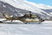 Swiss Air Force Aerospatiale AS332M1 Super Puma (Hkp10A) (T-316) at  Samedan - St. Moritz, Switzerland