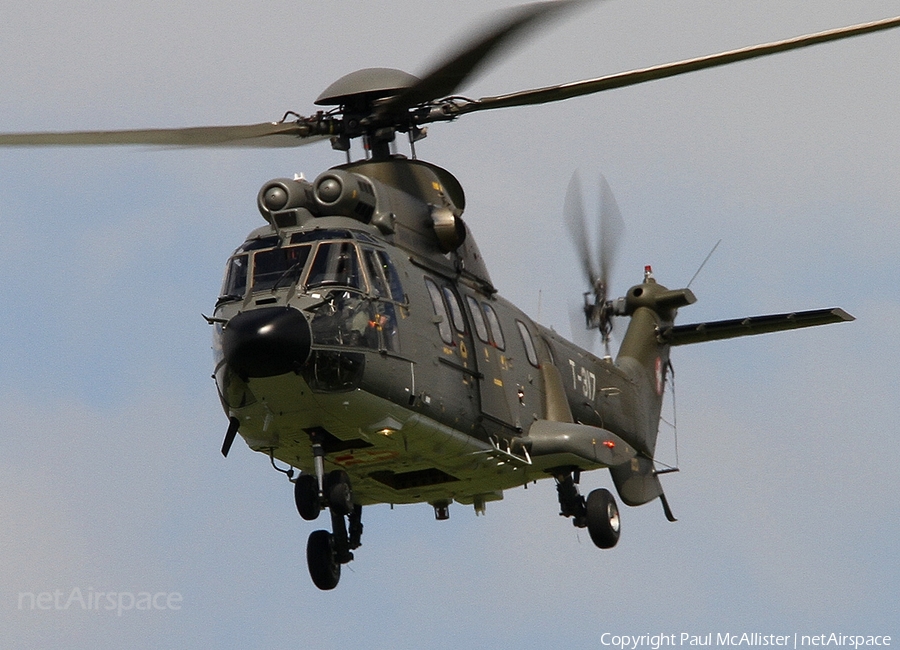 Swiss Air Force Aerospatiale AS332M1 Super Puma (Hkp10A) (T-317) | Photo 18105