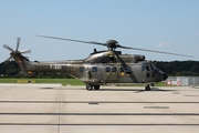 Swiss Air Force Eurocopter AS332M1 Super Puma (T-321) at  Hamburg - Fuhlsbuettel (Helmut Schmidt), Germany