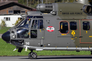 Swiss Air Force Eurocopter AS532U2 Cougar MKII (TH98) (T-336) at  Meiringen - Unterbach, Switzerland