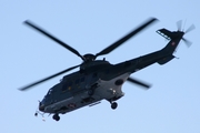 Swiss Air Force Eurocopter AS532UL Cougar (T-341) at  Axalp, Switzerland