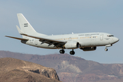 Argentine Air Force (Fuerza Aérea Argentina) Boeing 737-76N (T-99) at  Gran Canaria, Spain