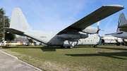 Spanish Air Force (Ejército del Aire) Lockheed C-130H Hercules (T.10-03) at  Madrid - Cuatro Vientos, Spain
