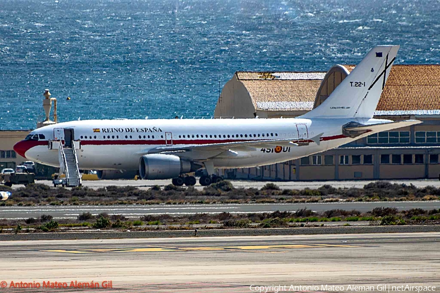 Spanish Air Force (Ejército del Aire) Airbus A310-304 (T.22-1) | Photo 663564