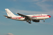 Spanish Air Force (Ejército del Aire) Airbus A310-304 (T.22-1) at  Hamburg - Fuhlsbuettel (Helmut Schmidt), Germany