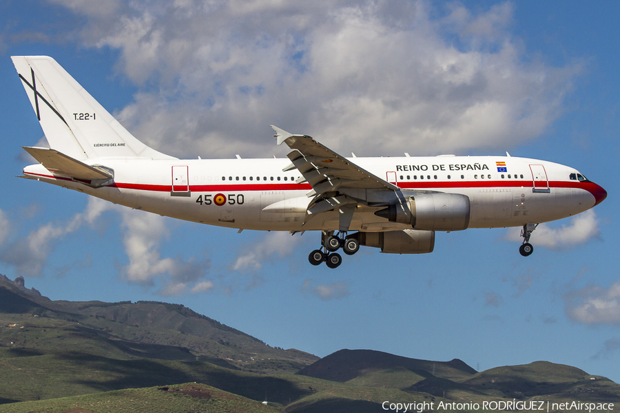 Spanish Air Force (Ejército del Aire) Airbus A310-304 (T.22-1) | Photo 132331