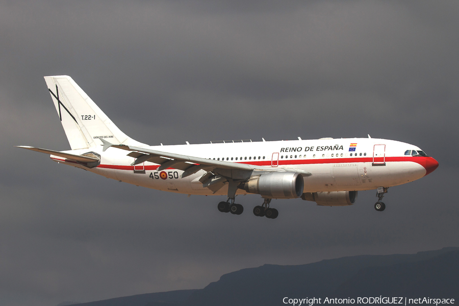 Spanish Air Force (Ejército del Aire) Airbus A310-304 (T.22-1) | Photo 314732