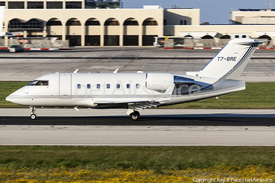 (Private) Bombardier CL-600-2B16 Challenger 604 (T7-BRE) | Photo 232503