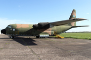 Argentine Air Force (Fuerza Aérea Argentina) Lockheed C-130B Hercules (TC-60) at  Moron, Argentina