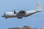 Argentine Air Force (Fuerza Aérea Argentina) Lockheed C-130H Hercules (TC-66) at  Gran Canaria, Spain