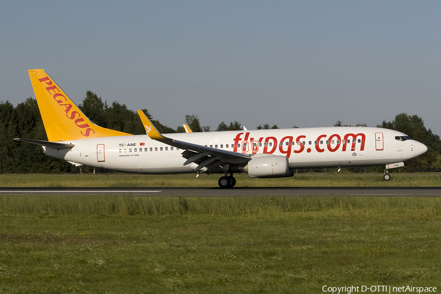 Pegasus Airlines Boeing 737-82R (TC-AAE) | Photo 277531