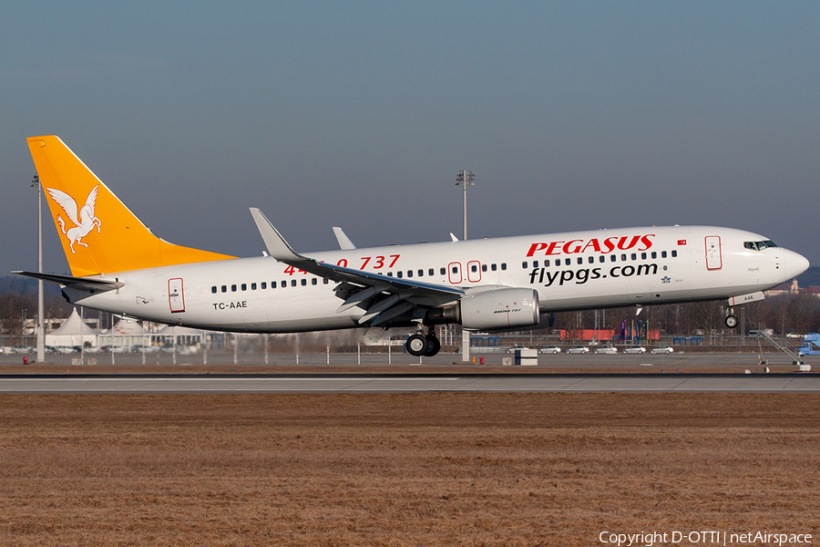 Pegasus Airlines Boeing 737-82R (TC-AAE) | Photo 237403