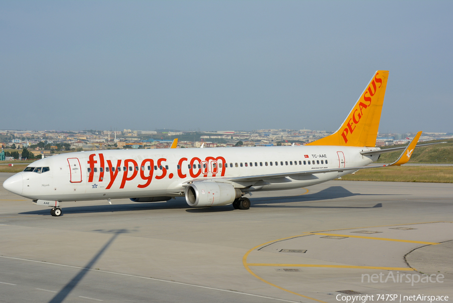 Pegasus Airlines Boeing 737-82R (TC-AAE) | Photo 52286