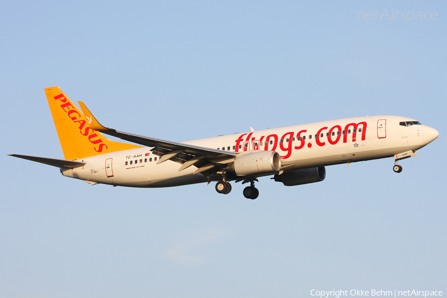 Pegasus Airlines Boeing 737-82R (TC-AAH) | Photo 52988