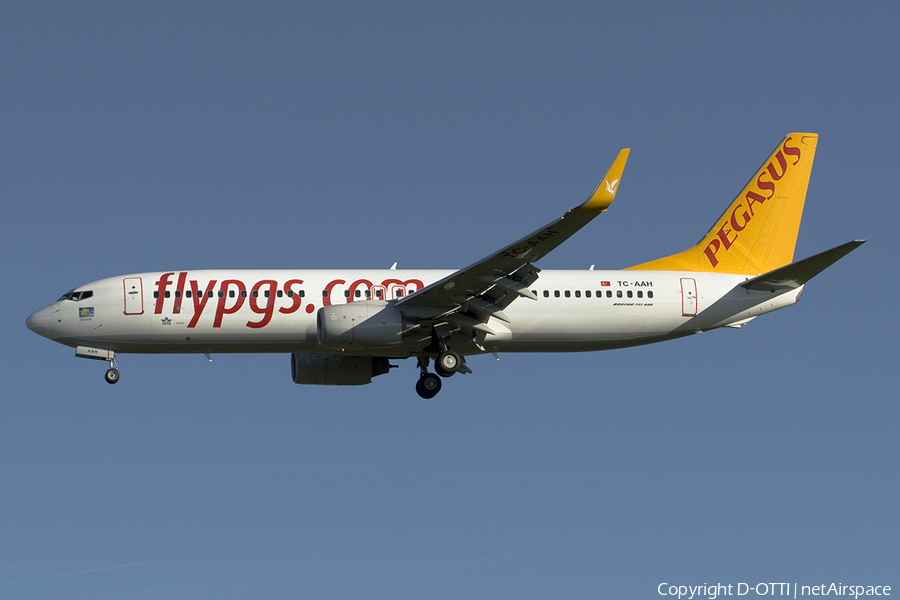 Pegasus Airlines Boeing 737-82R (TC-AAH) | Photo 273925