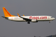 Pegasus Airlines Boeing 737-82R (TC-AAI) at  Zurich - Kloten, Switzerland