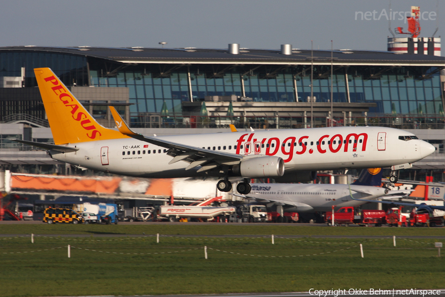 Pegasus Airlines Boeing 737-8FH (TC-AAK) | Photo 38649