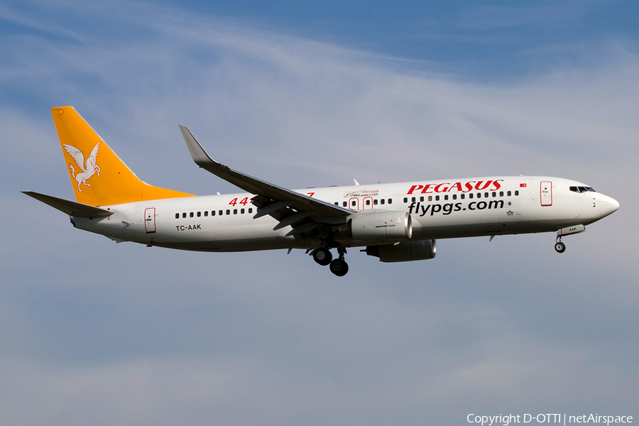 Pegasus Airlines Boeing 737-8FH (TC-AAK) | Photo 263433