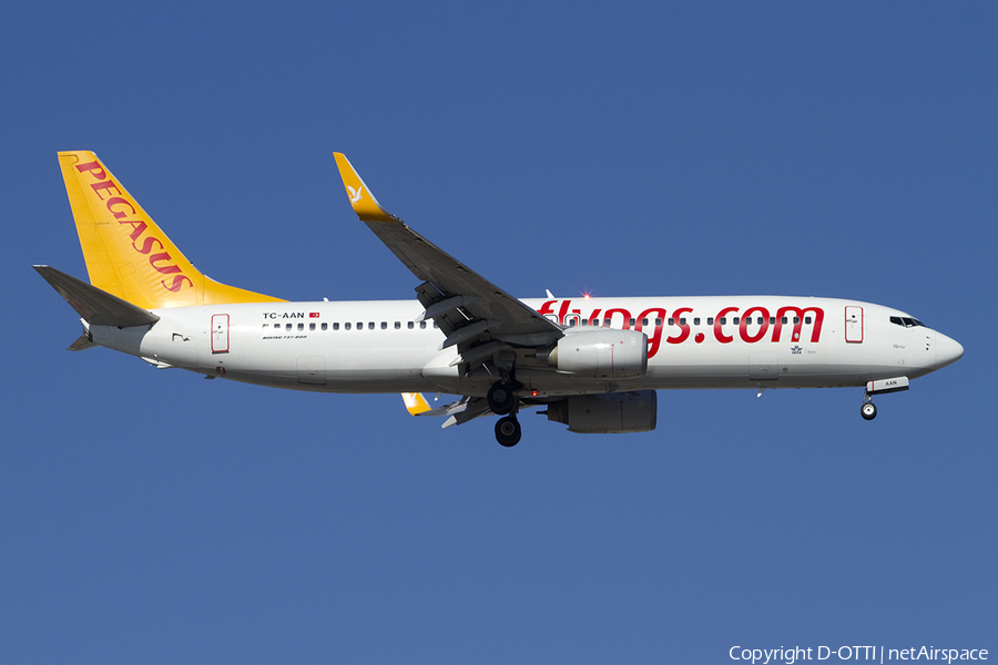 Pegasus Airlines Boeing 737-82R (TC-AAN) | Photo 392583