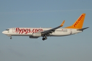 Pegasus Airlines Boeing 737-82R (TC-AAN) at  Hamburg - Fuhlsbuettel (Helmut Schmidt), Germany