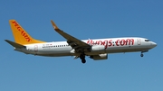 Pegasus Airlines Boeing 737-86N (TC-AAO) at  Amsterdam - Schiphol, Netherlands