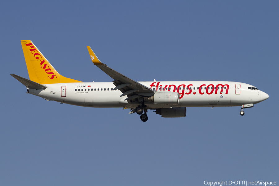 Pegasus Airlines Boeing 737-86N (TC-AAO) | Photo 391612