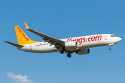 Pegasus Airlines Boeing 737-86N (TC-AAO) at  Dusseldorf - International, Germany