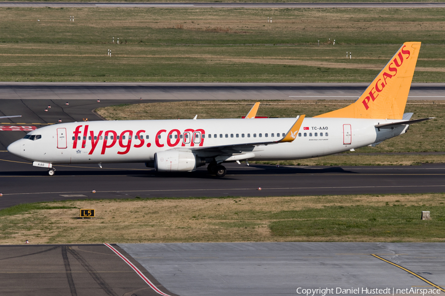 Pegasus Airlines Boeing 737-86N (TC-AAO) | Photo 425674