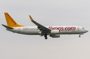 Pegasus Airlines Boeing 737-86N (TC-AAO) at  Hamburg - Fuhlsbuettel (Helmut Schmidt), Germany