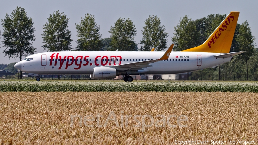 Pegasus Airlines Boeing 737-86N (TC-AAR) | Photo 237055