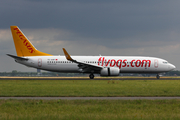 Pegasus Airlines Boeing 737-86N (TC-AAR) at  Amsterdam - Schiphol, Netherlands