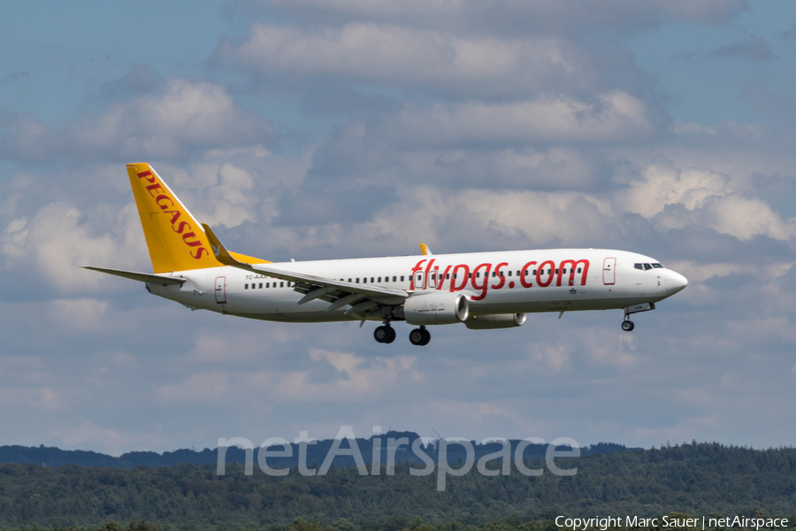 Pegasus Airlines Boeing 737-86N (TC-AAR) | Photo 181928