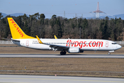 Pegasus Airlines Boeing 737-86N (TC-AAR) at  Frankfurt am Main, Germany