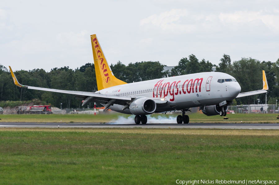 Pegasus Airlines Boeing 737-86N (TC-AAR) | Photo 252216