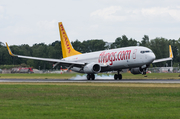 Pegasus Airlines Boeing 737-86N (TC-AAR) at  Hamburg - Fuhlsbuettel (Helmut Schmidt), Germany