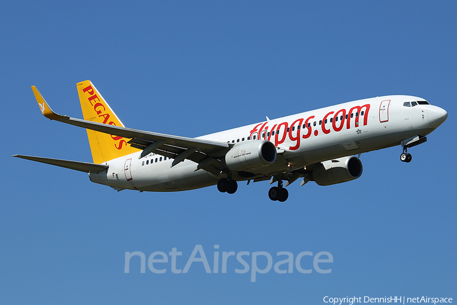 Pegasus Airlines Boeing 737-86N (TC-AAR) | Photo 439830