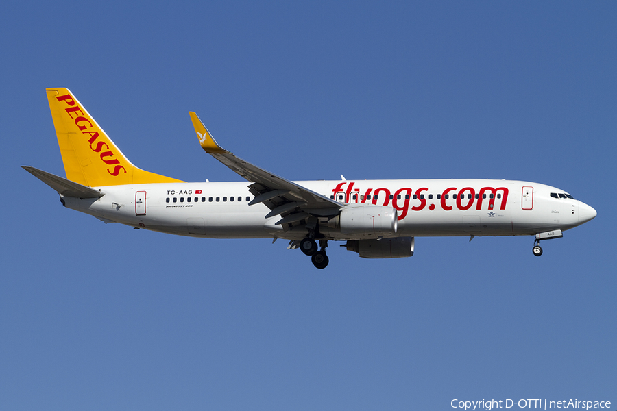 Pegasus Airlines Boeing 737-82R (TC-AAS) | Photo 392918