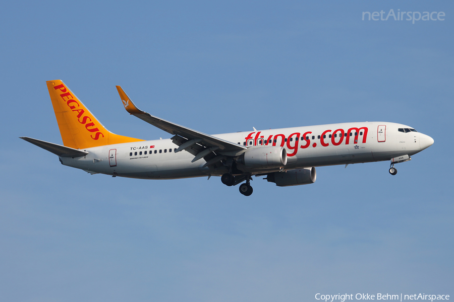 Pegasus Airlines Boeing 737-82R (TC-AAS) | Photo 40719