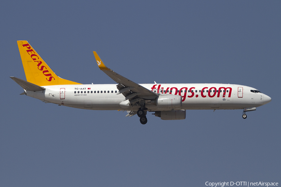 Pegasus Airlines Boeing 737-82R (TC-AAT) | Photo 391368