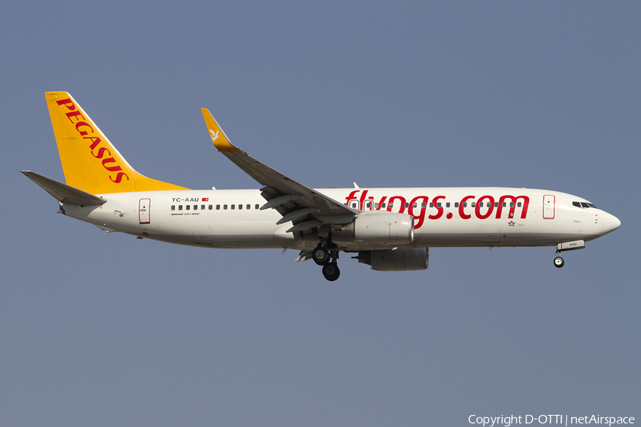 Pegasus Airlines Boeing 737-82R (TC-AAU) | Photo 392120