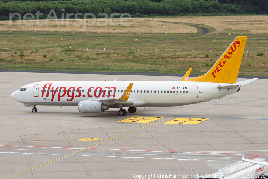 Pegasus Airlines Boeing 737-82R (TC-AAU) | Photo 115563