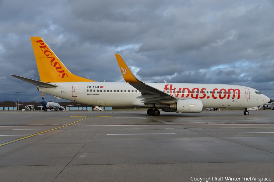 Pegasus Airlines Boeing 737-82R (TC-AAU) | Photo 305496