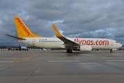 Pegasus Airlines Boeing 737-82R (TC-AAU) at  Cologne/Bonn, Germany